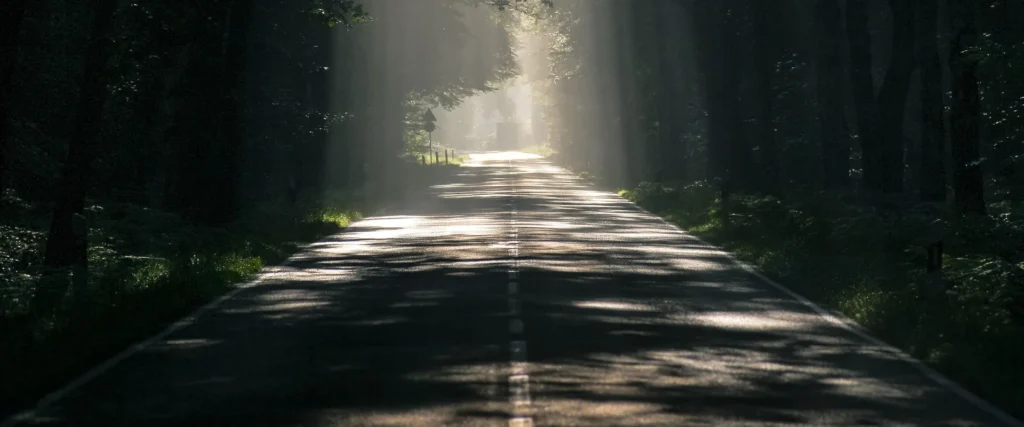 Strada di campagna alberata al mattino, offerte di noleggio a lungo termine TRADE CAR